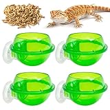 Tfwadmx Chameleon Bowl, Reptile Feeding Feeder,Worm Live Fodder Container, Water Dish Gecko Ledge Suction Cup Feeder Chameleon Supplies Accessories for Gecko Lizard Bearded Snakes Dragon 4 Pcs