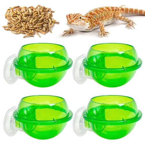 Tfwadmx Chameleon Bowl, Reptile Feeding Feeder,Worm Live Fodder Container, Water Dish Gecko Ledge Suction Cup Feeder Chameleon Supplies Accessories for Gecko Lizard Bearded Snakes Dragon 4 Pcs