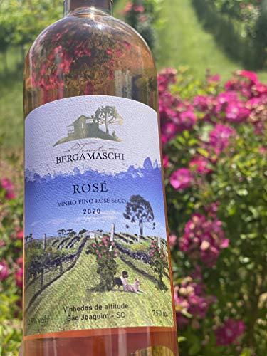 Vinho Rose Tenuta Bergamaschi