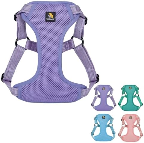 BELLA & PAL Step-in Dog Harness, Dog Harness and Leash Set for Extra Small Dogs, Breathable Soft Mesh Puppy Harness, Lightweight Adjustable Dog Harness for Extra-Small/Small/Medium Dogs, Blue, XS