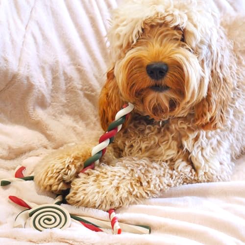 Rosewood Cupid & Comet Hundeleckerlis 280g – Ohne Rohleder, mit echtem Huhn und Süßkartoffel – Sicherer, gesunder Weihnachtssnack für Hunde – Geschenkidee für Weihnachten oder besondere Anlässe