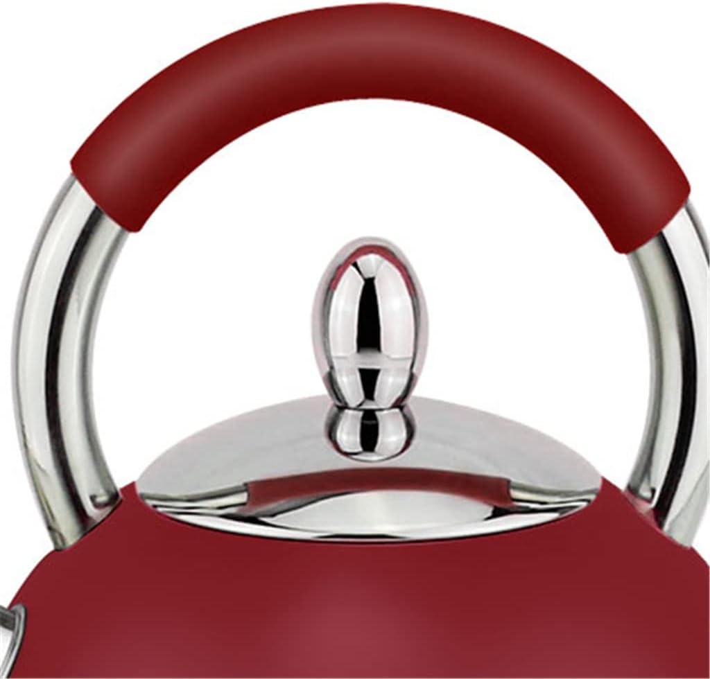 Cute Stainless Steel Teapot 3.0L Large Capacity Whistle Kettle Gas Kettle(E)