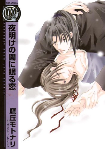 『夜明けの闇に眠る恋』