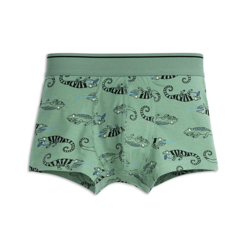 Image of ARIEL Boy's Cotton Multicolor Briefs (Pack of 6)