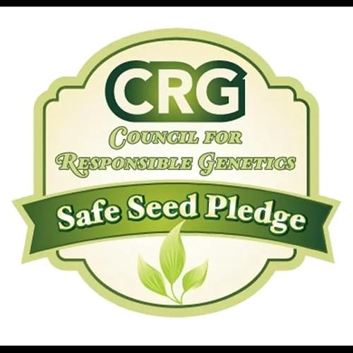 Miniatura 5 de Davids Garden Seeds Lechuga Verano Crujiente Nevada 4392 Verde 200 Semillas Polinizadas Abiertas