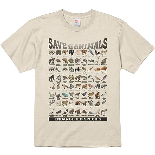 GCfBGX(MYDS) Ŋ뜜̃Xg/TVc/Thx[W/ݽL