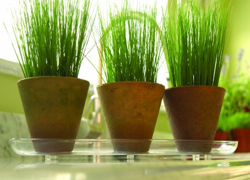 Plastec P56 PAK612 Plipak612 Oval Plantpak Saucer thumb #2