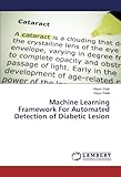 Machine Learning Framework For Automated Detection of Diabetic Lesion