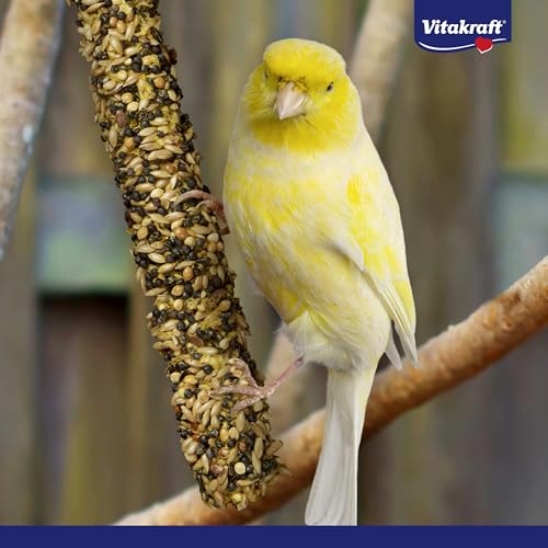 Vitakraft Kräcker, Knabberstangen für Kanarienvögel, mit Ei und Grassamen, mit Vitaminen und Mineralien, für langes Knabbervergnügen, ohne Zusatz von Zucker (10x 54g)