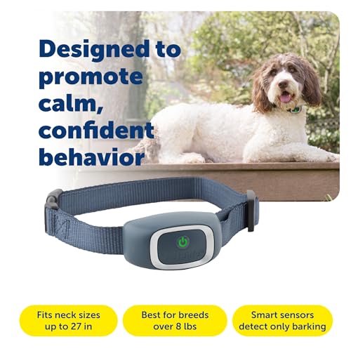 PetSafe Bark Collar - image 3