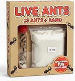 Live Ants for Ant Farms Plus Sand Refill Included, 10oz Sand by Nature Gift Store