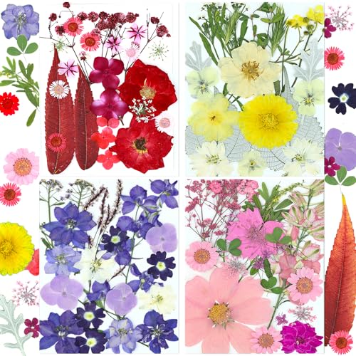 Juego de 82 flores secas prensadas naturales, rojo miniatura 6