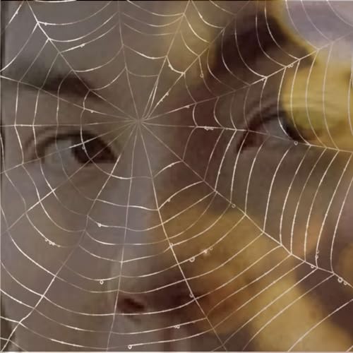 How to Befriend a Spider