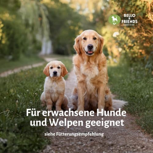 Bello & Friends Trockenbarf Komplett Rind, natürliches Hundefutter 1 kg