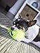 goDog Just For Me Furballz Squeaky Plush Ball Dog Toy, Chew Guard Technology - Lime, Mini