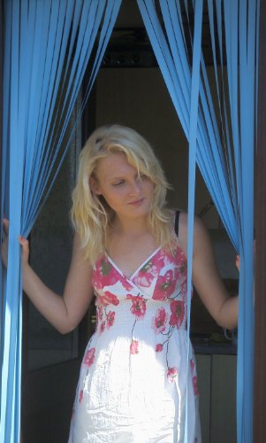 Holland Plastics Original Brand Tube Type Door Curtain Bug Fly Strip Blind 'Powder Blue'