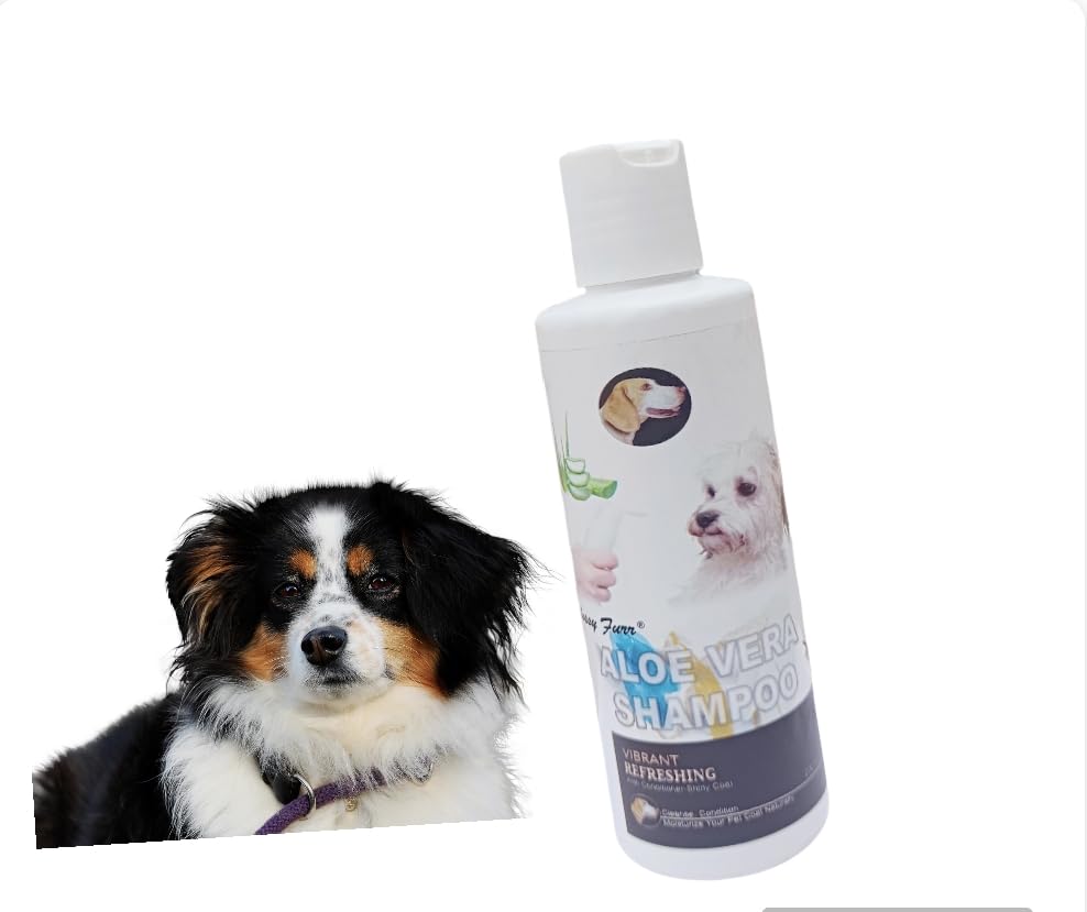 See full amazon price history chart for GLOSSY FURR - Aloe Vera Dog Shampoo, Cleaner, Smoother & Shinier | Made with Natural Actives for Fresh Coat 200 ML | Removes Dirt GLOSSY FURR - Aloe Vera Dog Shampoo, Cleaner, Smoother & Shinier | Made with Natural Actives for Fresh Coat 200 ML | Removes Dirt (B0BS16SPXD) Amazon Price History, Amazon Price Tracker