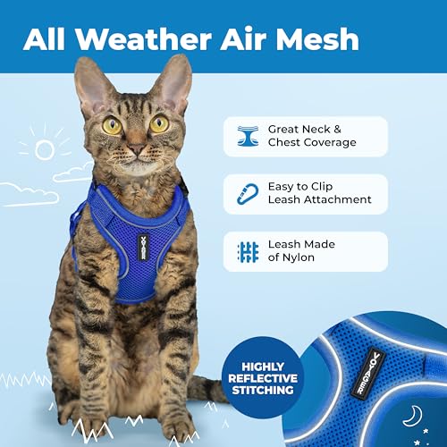 Image of Voyager Escape-Proof Step-in Lock Cat Harness & 5ft Neoprene-Handle Leash Set All-Weather Mesh with Reflective Stitching for Small to Large Cats by Best Pet Supplies, Royal Blue (327), XS