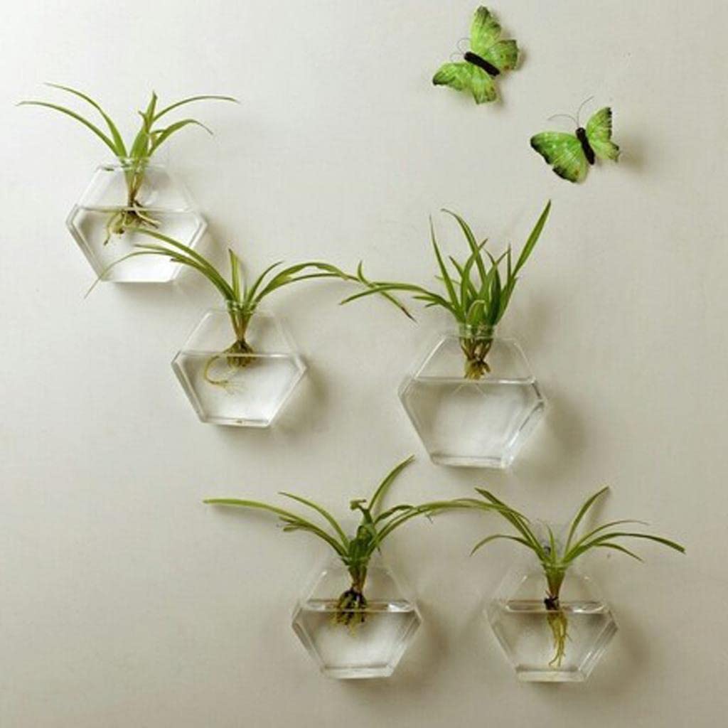 THE STYLE SUTRA Wall Hanging Planter Glass Hydroponic Vase Plant Pot Terrarium Hexagon 13cm| Yard, Garden & Outdoor Living | Gardening Supplies | Plant Care, Soil & Accessories (B0CJRLNRY6) Amazon Price History, Amazon Price Tracker