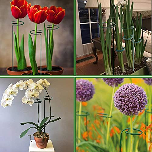 Xmmeyu 8 Pcs 15.8 Inch Plant Support Stakes, Garden Single Stem Support Stake Plant Cage Support Ring With 27 Yard Green Tape For Flower, Lily, Rose, Peony,Tomato (15.7 Inch) #TOP5