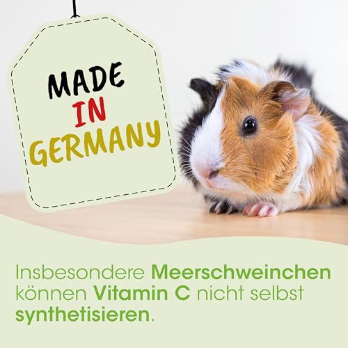 cdVet Naturprodukte Nager Vit C 20 ml - Kaninchen - Meerschweinchen - Versorgung mit Vitamin C - Nahrungsergänzung - auch für atemwegsempfindliche Tiere geeignet - natürliche Zutaten -