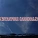 Stanford Cardinal Automotive Transfer Decal Strip