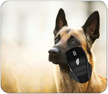 german shepherd muzzle amazon