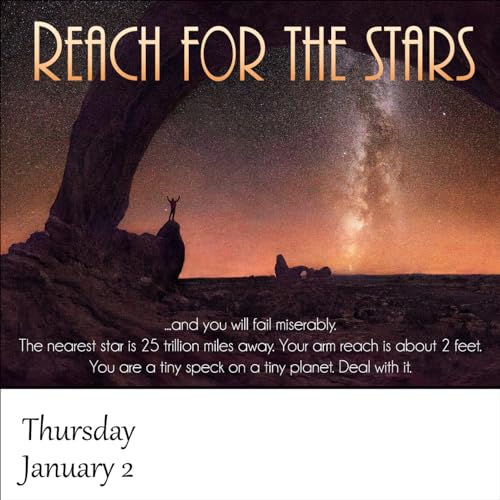 Demotivational 2025 Daily Calendar (A Funny, Uninspirational, and Humorous Page-A-Day / Day-to-Day Desk Calendar - all 365 days!)