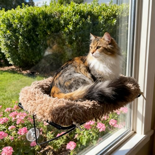 ITSMILZ Cat Window Perch, Cordless Cat Hammock Window Seat with Sturdy Metal Frame Supports and 4 Strong Suction Cups (Brown, Long Hair)
