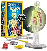 National Geographic Human Body Model for Kids - 32-Piece, 23 cm Glow-in-The-Dark Interactive Anat...