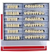 168 Pieces False Teeth Dental Complete Acrylic Resin Denture Teeth, 6 Sets Whole Teeth Synthetic ...