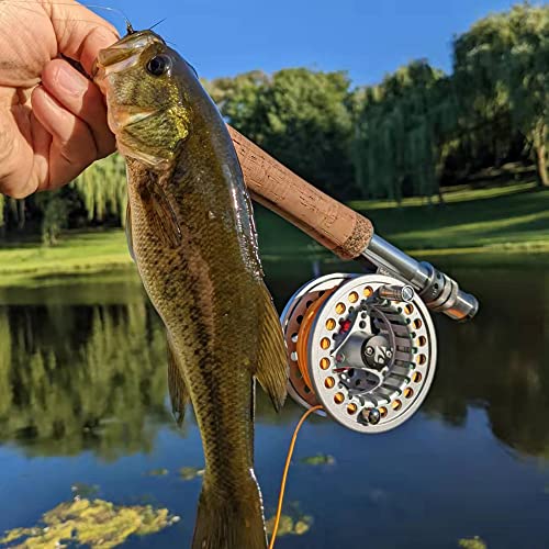 Kylebooker Fliegenfischrolle große Laube mit Aluminium-Körper Fliegenrolle (5/6wt,Silver)