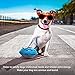 EASTBLUE Squeaky Dog Toys for Aggressive Chewers: Rubber Puppy Chew Ball with Squeaker, Almost...