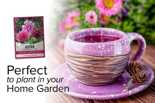 Gardeners Basics Aster Powderpuff Mix Flower Seeds - Thumbnail 4