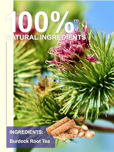 Image of TeeLux Burdock Root Tea Bags, Caffeine-Free Herbal Tea, Smooth Mellow Flavor, Lightly Toasted Aroma, Hot or Iced, 100 Count