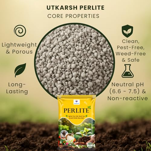 Image of Utkarsh Perlite for Plants Growth, Home Terrace Garden, Indoor & Outdoor Plants, Hydroponics & Horticulture, Conditioner for Potting Soil Mix, Enhances Drainage & Aeration (250 gm; Pack of 1)