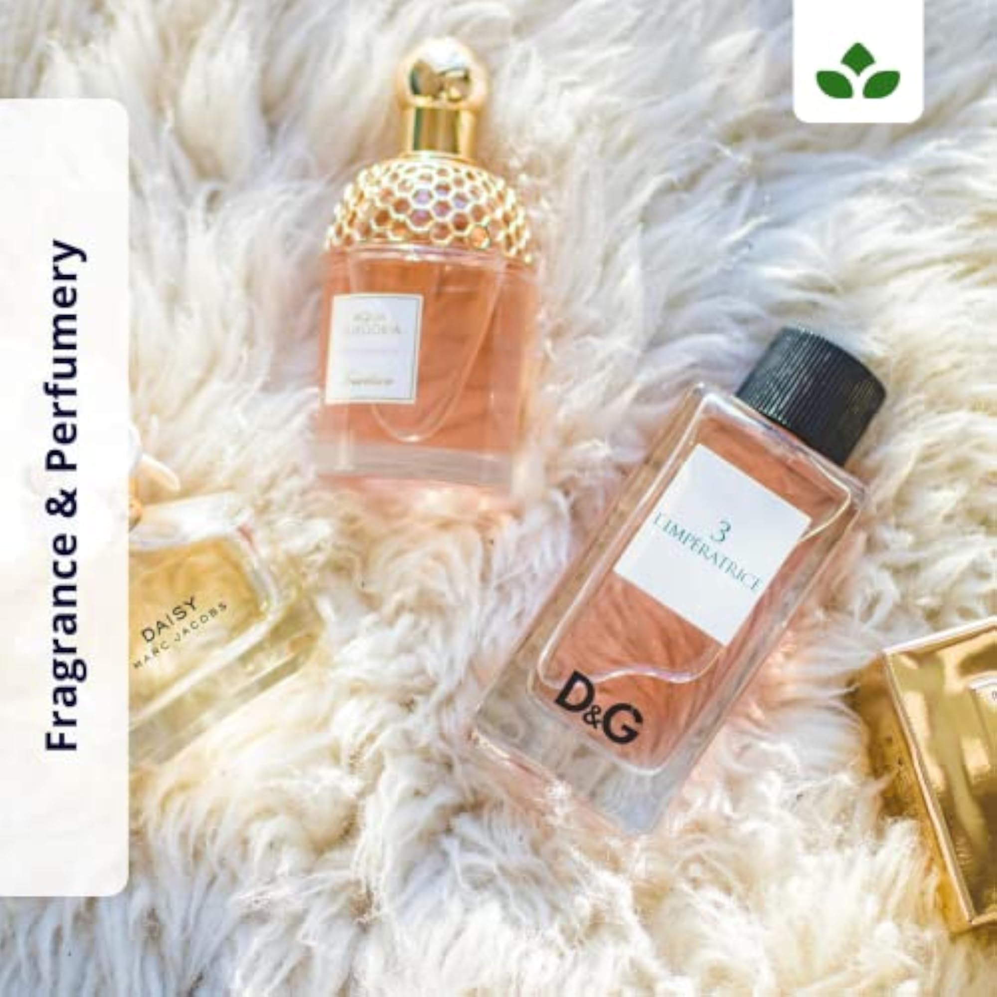 Premium Organic Essential Oil Fragrance for Aromatherapy