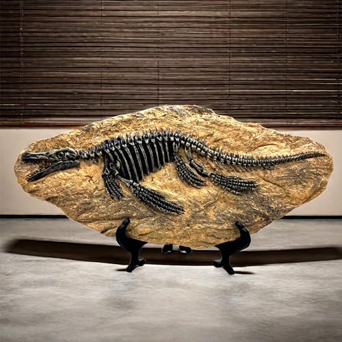 Mosasaurus dinosaure fossil model squelette simulé résine - 4