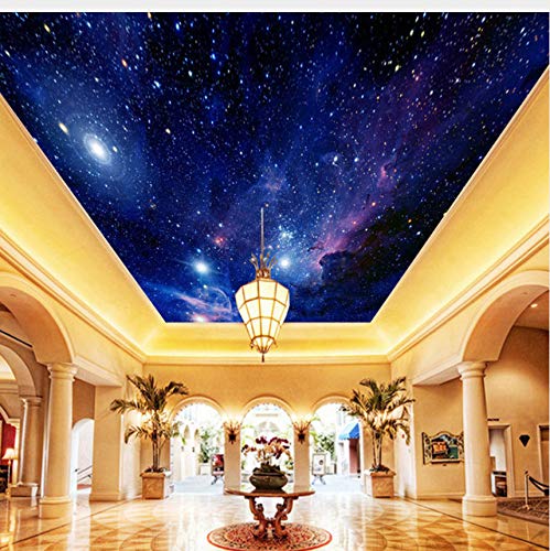 Night Sky Painting Ceiling