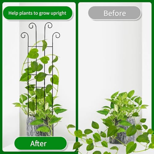 Arche de jardin robuste pour aménager un potager de légumes et pois - 5