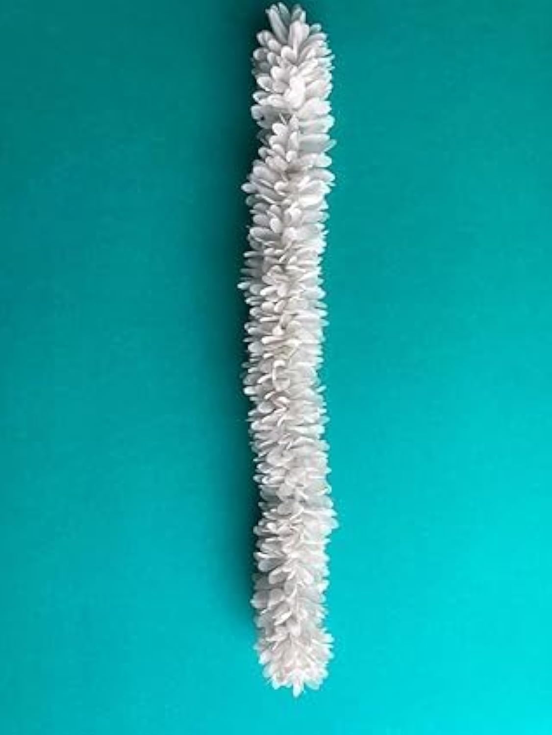 Albert sign White Single Color Jasmine Flower synthetic Fabric Gajra 12 inch for Gorgeous and Stunning Hairstyles pack of 1