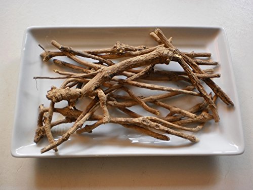 1 OZ. Silene capensis--Xhosa Dream Root, Ubulawu