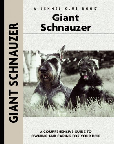 What dog looks like a schnauzer