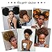 AISI QUEENS Afro Puff Drawstring Ponytail Synthetic Short Afro Kinkys Curly Afro Bun Extension Natural Black Hairpieces Updo Hair Extensions for Women Girls (1B#)
