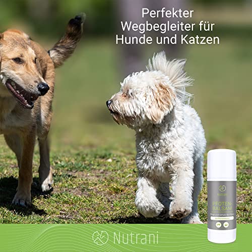 Nutrani Bienenwachs Pfotenbalsam für Hunde & Katzen von ManuCo | Pfotenschutz, 100% natürlich, Pfotenpflege, Pfotenbutter, Wundschutz, Pfotenheilmittel - 40 ml