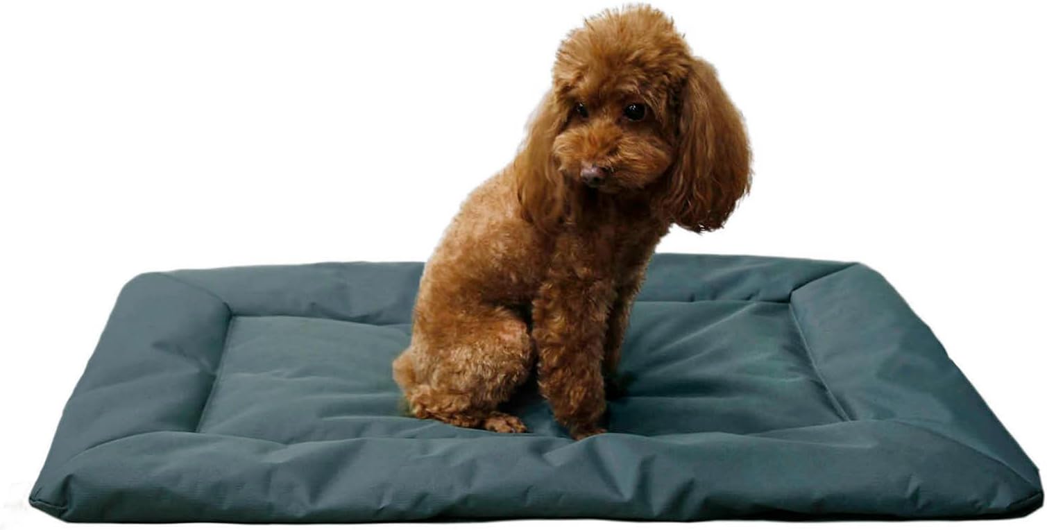 SunydogOutdoor Dog Bed, Roll-up Travel Dog Sleeping Pad, 33x 22 in Dog Bed Mat for Medium, Small Dogs, Waterproof & Portable & Reusable Camping Travel Pet Mat (Grey)