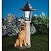 Bits and Pieces - Solar Dog Lantern-Solar Powered Garden Lantern - Resin Dog Sculpture with LED Light (Shepherd) - 13.5