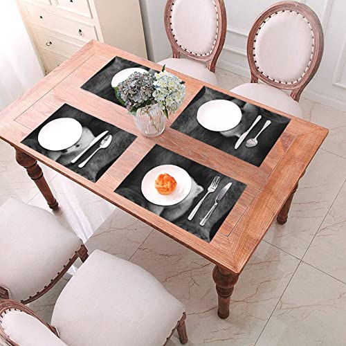 Sets de table antidérapants pour protéger vos meubles des taches de repas - 7