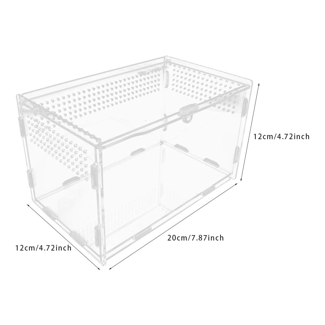 Boîte d'alimentation en Acrylique pour Reptiles 20 x 12 x 12 cm Terrarium en Verre Transparent - 2 Pinces Droites et incurvées pour Animaux domestiques - pour Insectes, araignées,crabes, lézard