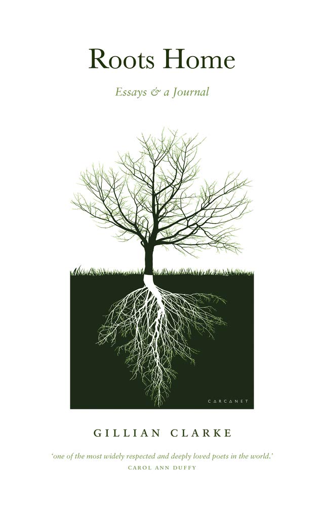 Roots Home.by Clarke  New 9781800170780 Fast Free Shipping**